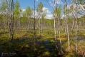 047_Biebrza - maj 2013